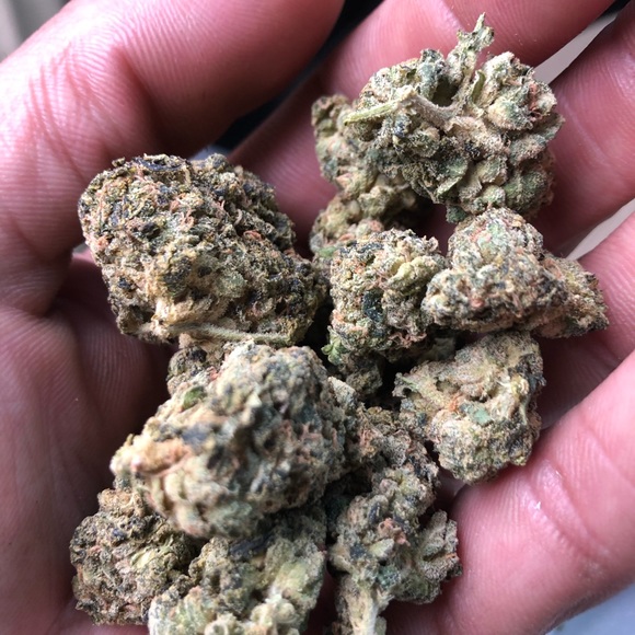 Meet your Posher, Christopher - Picture 1 of 1